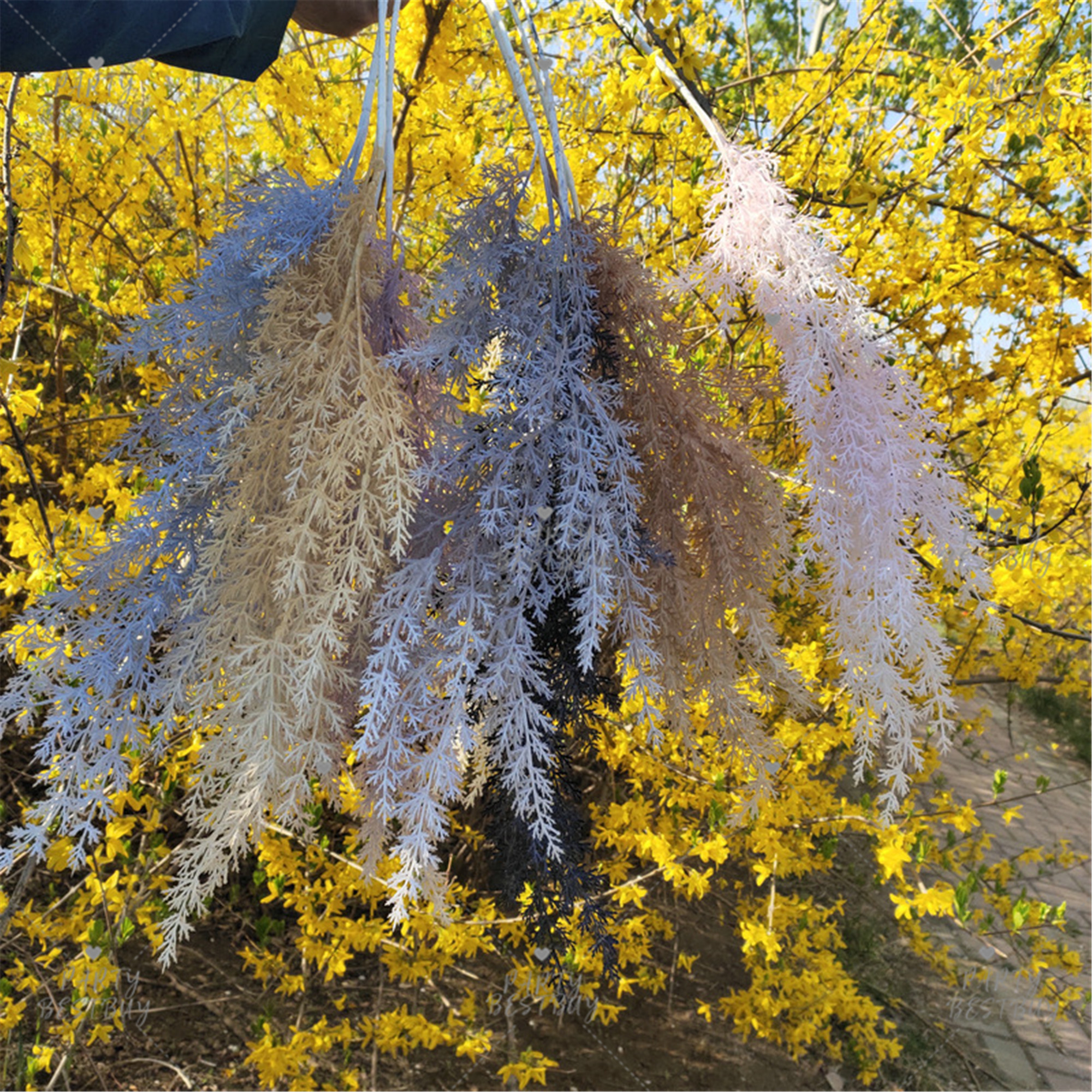 flower_fw04n_p_16